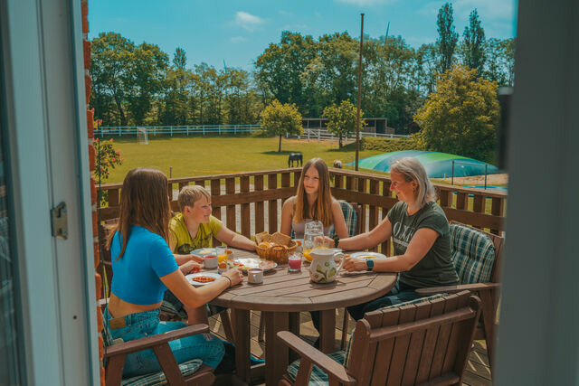 Ferienwohnung in Fehmarn OT Westermarkelsdorf - Willy Willy - Bild 18