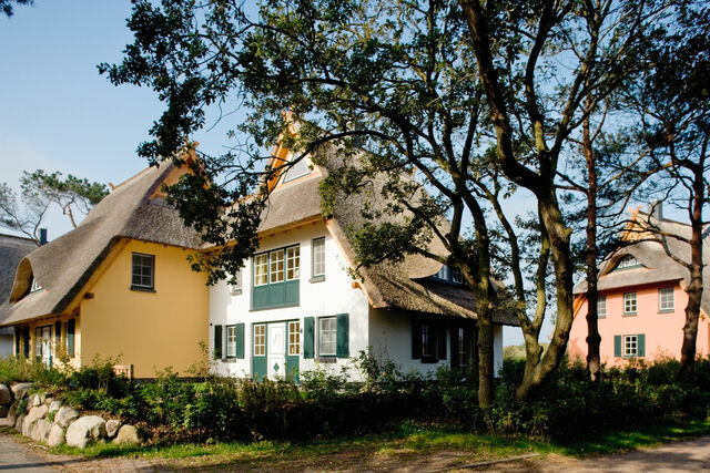 Ferienhaus in Dierhagen - D&uuml;nenmeer Ferienh&auml;user - Bild 4