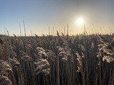 Ferienwohnung in Fehmarn - Ferienwohnung West - Bild 6
