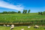 Ferienwohnung in Fehmarn OT Lemkenhafen - Ferienwohnung Ostseeperle - Bild 9