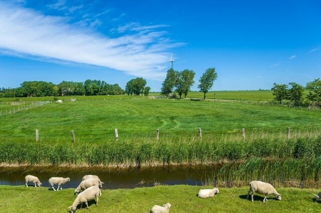 Ferienwohnung in Fehmarn OT Petersdorf - Ferienwohnung Kapitäns-Kajüte - Bild 17