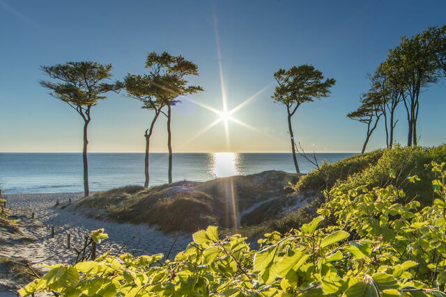 Ferienwohnung in Prerow - FeWo "Prerow" - Bild 15
