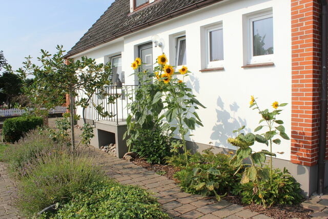 Ferienwohnung in Fehmarn OT Landkirchen - "Hygge", ideal für E-biker und Kite-Surfer - Bild 6