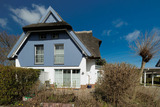 Ferienhaus in Zingst - Haus M&ouml;we - Bild 22