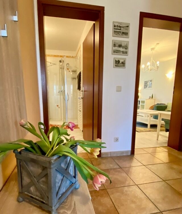 Ferienwohnung in Ostseeheilbad Zingst - Ferienwohnung 03 - Bild 21