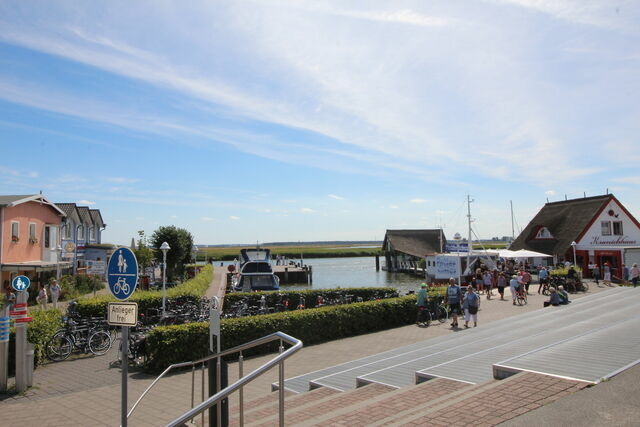 Ferienwohnung in Ostseeheilbad Zingst - Ostseegl&uuml;ck App.9 - Bild 13