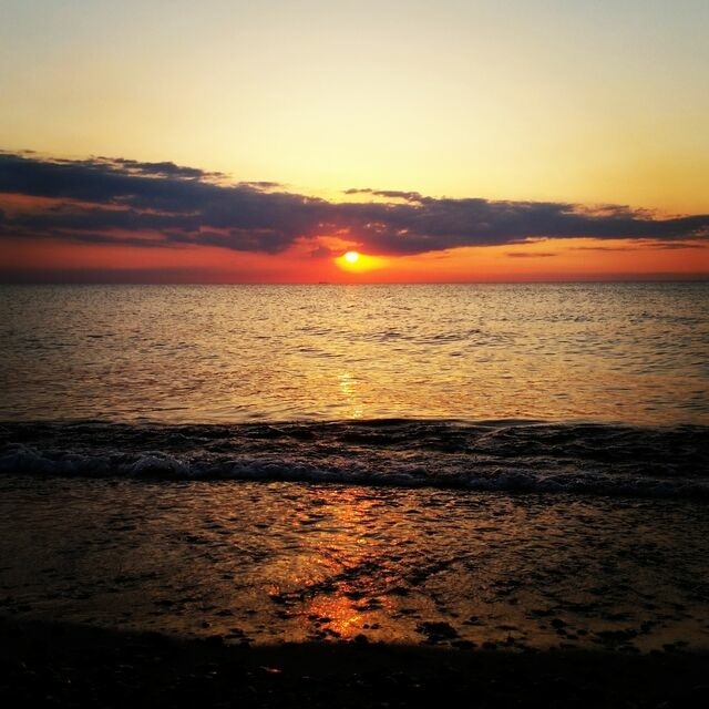 Ferienwohnung in Ostseeheilbad Zingst - Ostseegl&uuml;ck App.9 - Bild 19