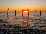 Ferienwohnung in Zingst - Strandmöwe 2 - Bild 13