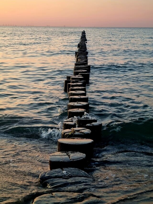 Ferienwohnung in Zingst - Strandmöwe 2 - Bild 14