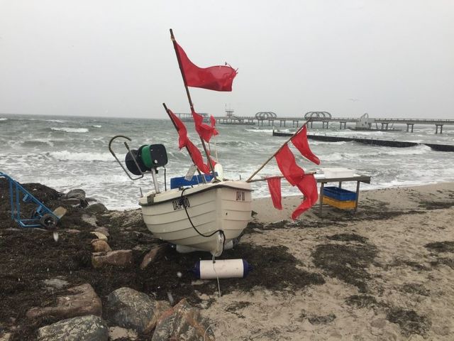 Ferienwohnung in Kellenhusen - Haus Strandläufer Wohnung 4 - Bild 12