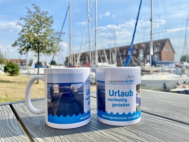 Ferienwohnung in Ueckermünde - Lagunenstadt am Haff Fewo 158 - Back - Bild 15