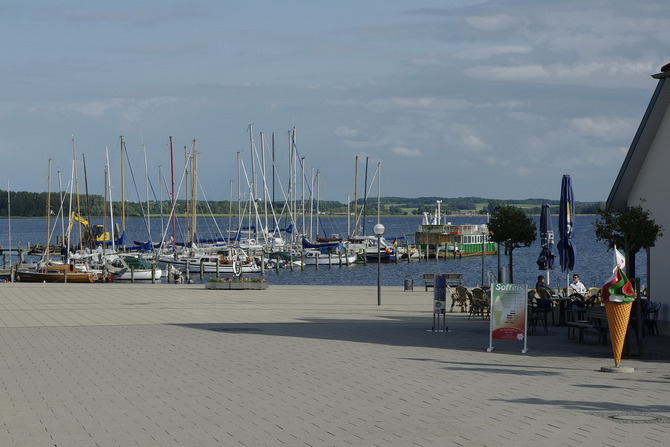 Ferienwohnung in Rerik - Zwergmöwe - Haffplatz