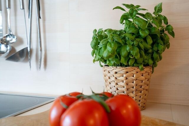 Ferienwohnung in Scharbeutz - Residenz - RES/510 - Bild 20