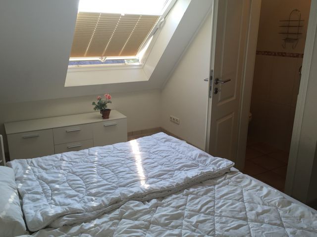 Ferienwohnung in Zingst - Deichidyll - Bild 18