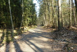 Ferienwohnung in Prerow - FeWo Seeadler - Heuser Prerow - Bild 16