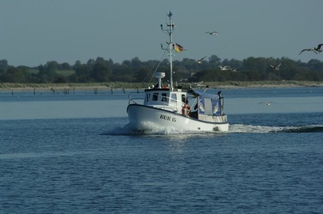 Ferienwohnung in Fehmarn OT Burg - Ferienwohnung "BurgKajüte" - Bild 10