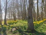 Ferienwohnung in Kellenhusen - Rosa Canina, W3 - Bild 10