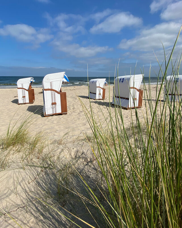 Ferienhaus in Ückeritz - Kormoran - Bild 24 Ferienhaus in Ückeritz - Kormoran - Bild 24