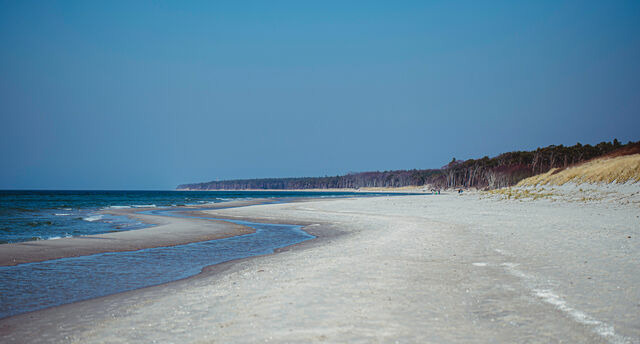 Ferienwohnung in Ahrenshoop - Seeadler - Bild 8