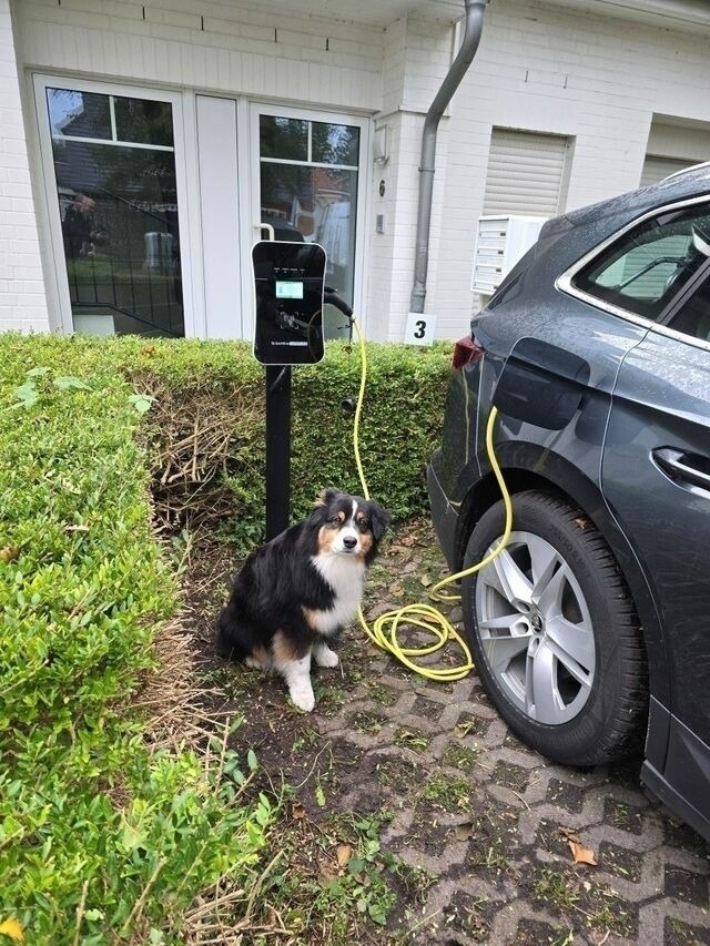 Ferienwohnung in Ostseeheilbad Zingst - Boddenkieker 03 - Bild 22