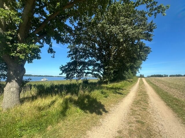 Ferienhaus in Kappeln - Zwischen Schlei & Ostsee - Bild 25
