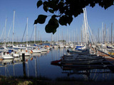 Ferienwohnung in Großenbrode - Möwennest 9 - Großenbrode - Bild 19