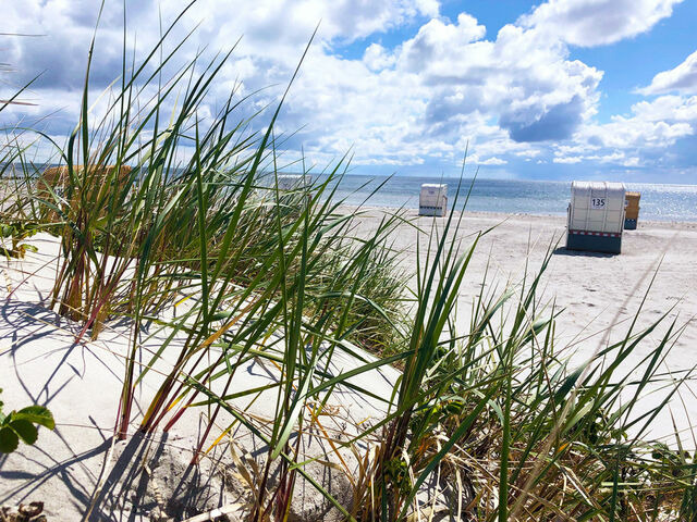 Ferienwohnung in Gro&szlig;enbrode - Ostseeresidenz 1 - Gro&szlig;enbrode - Bild 6