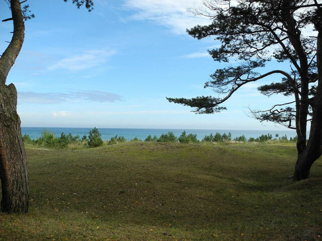 Ferienhaus in Baabe - Wirbelwind - Baabe - Bild 19