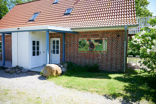 Ferienwohnung in Dahme - Süße Wohnung direkt am Wald (rotes Haus EG) - Bild 10