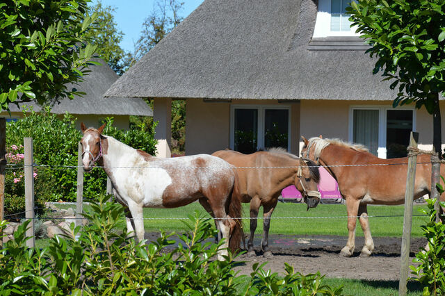 Ferienhaus in Fehmarn OT Staberdorf - Reetdachhaus 2, inkl. 2 Parkpl&auml;tze - Bild 18