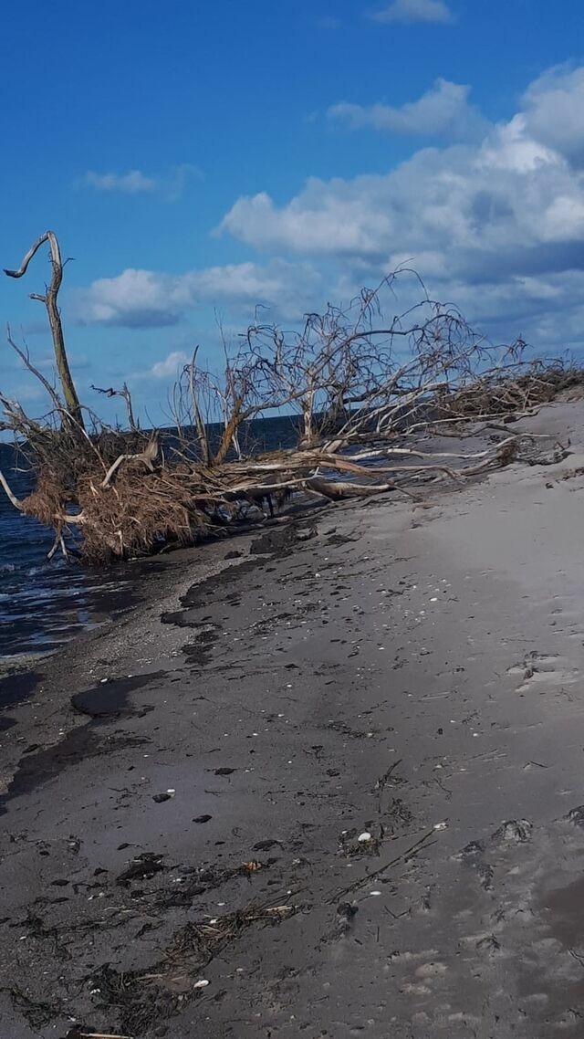 Ferienhaus in Lütow - Ferienhaus Köhler Am Achterwasser , Urlaub mit Hund - Bild 23
