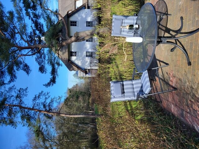 Ferienwohnung in Zingst - Achtern Diek 15a Whg. 1 - Bild 25