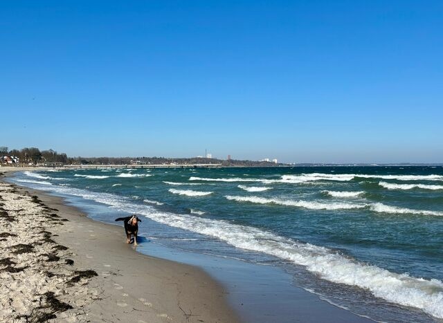 Ferienwohnung in Scharbeutz - Maris Ferienwohnung Nr. 46 (EG mit Terrasse) - Bild 17
