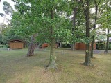 Ferienwohnung in Baabe - Whg.-2- Bella Casa - Bild 18