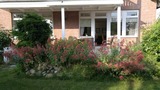 Ferienwohnung in Kellenhusen - FeWo Haus Nikolaus 4 - Bild 15
