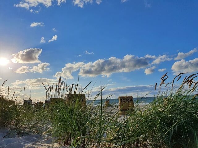 Ferienwohnung in Sch&ouml;nberg - Strandapartment-Kalifornien - Bild 19