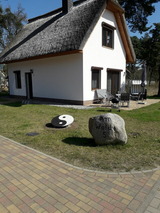Ferienhaus in Zirchow - Bellis Perennis - Bild 6