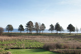 Ferienhaus in Glücksburg - Ferienhaus Außenförde - Bild 14