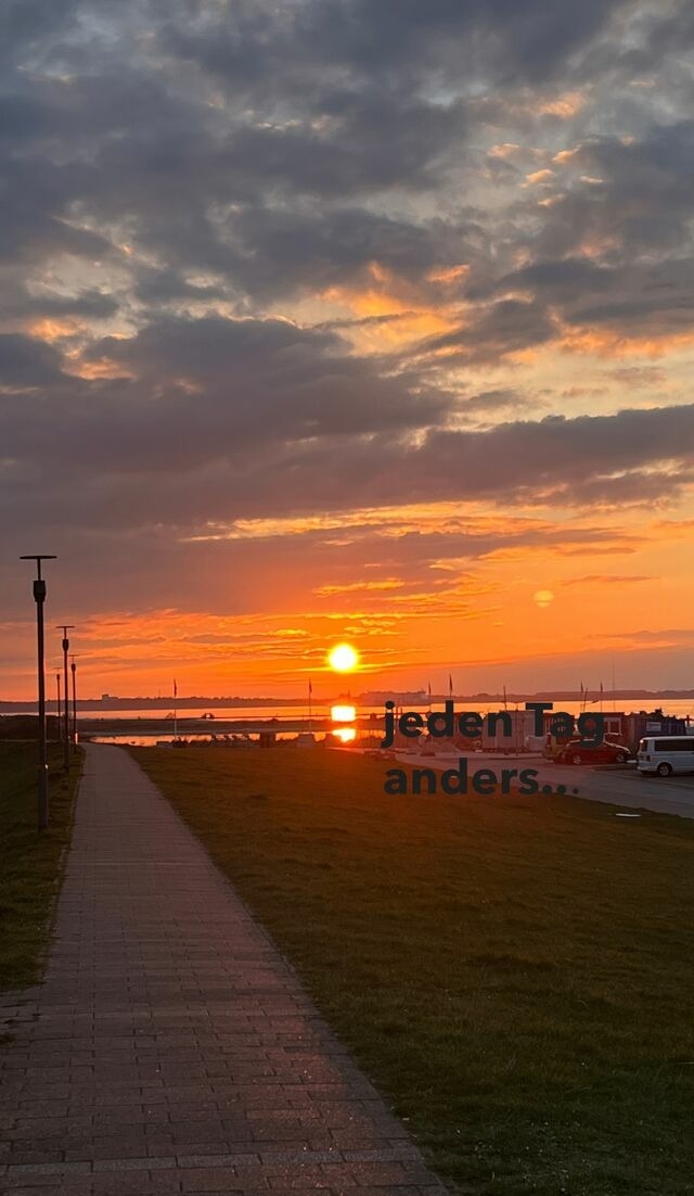Ferienwohnung in Wendtorf - Strandl&auml;ufer - Bild 15