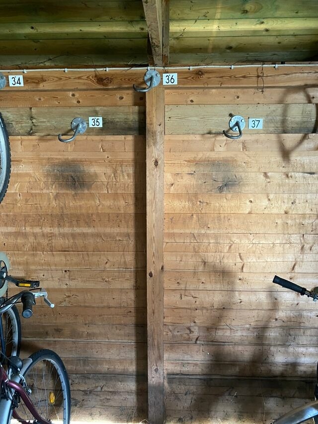 Ferienwohnung in Ostseeheilbad Zingst - Fewo Kranich 36 - Bild 20