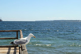 Ferienwohnung in Eckernförde - Maritime Ecke 1 - Bild 15