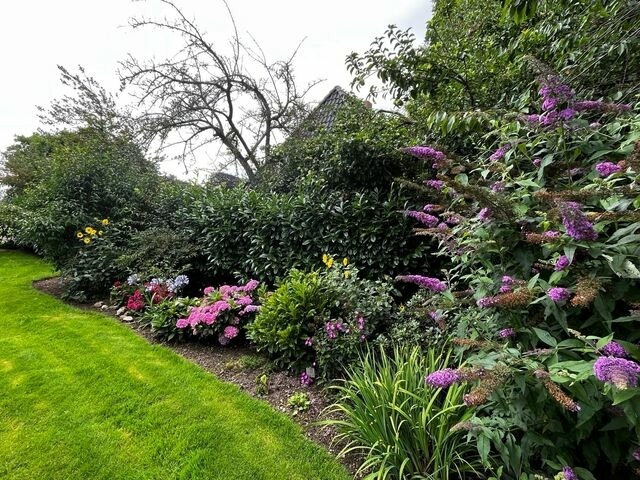 Ferienhaus in Rabenkirchen-Faul&uuml;ck - Ferienhaus Spatz - Bild 17