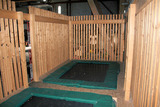 Ferienwohnung in Fehmarn - Pusteblume - Bild 17