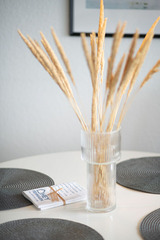 Ferienwohnung in Fehmarn OT Burgtiefe - Cozy Beach - Bild 16