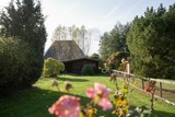Ferienhaus in Dahme - Lange Wiese- Rosengarten - Bild 10