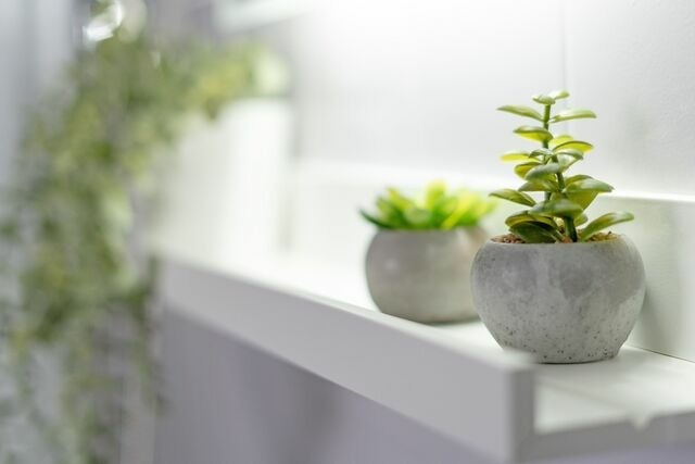 Ferienwohnung in Grömitz - Haus Grömitz Möwenglück - Bild 25