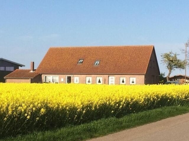 Ferienwohnung in Fehmarn OT Westerbergen - An der alten Pappel Nr. 1 - Bild 5