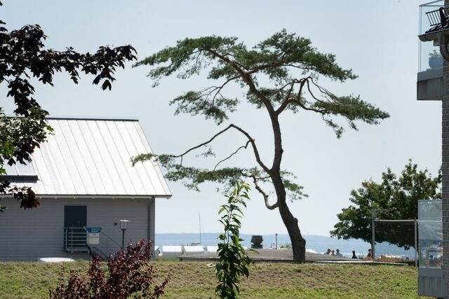 Ferienwohnung in Gr&ouml;mitz - Belvedere Strandrose - Bild 14
