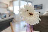 Ferienwohnung in Scharbeutz - Montemare Ankerplatz - Bild 16