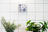 Ferienhaus in Kellenhusen - Ferienwohnpark Amselweg Amselnest - Bild 23
